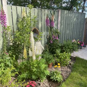 Relaxation Tranquil Garden