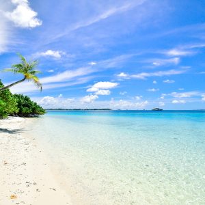 Relaxation Tranquil Beach